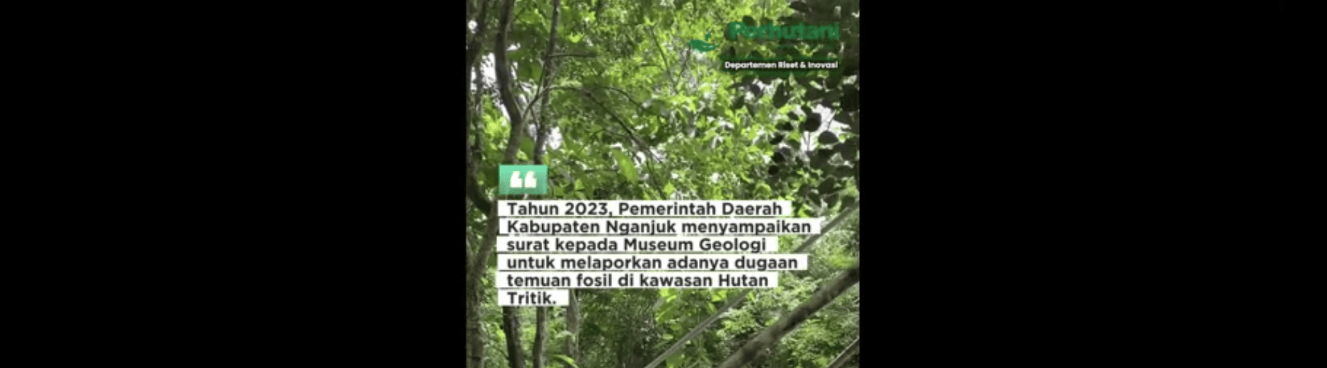 Penggalian Informasi situ Gajah Purba dan Kemenyan Putih